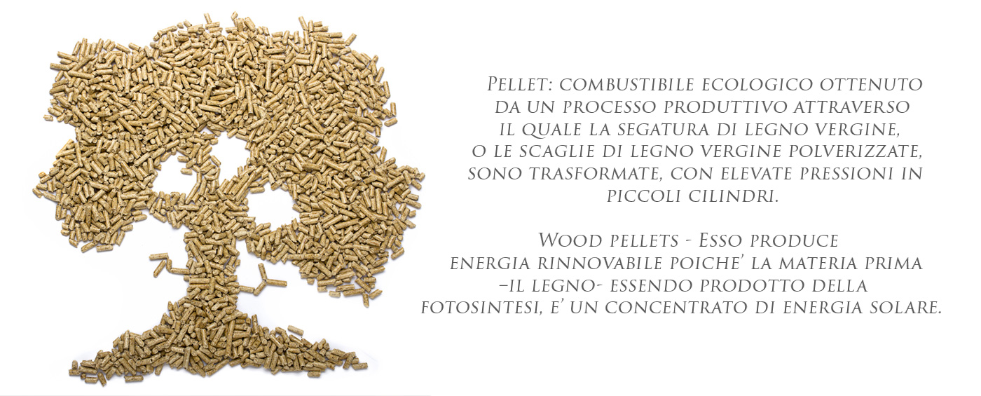 Vendita pellet online